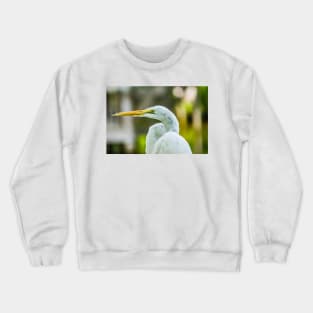 Cool Egret Crewneck Sweatshirt